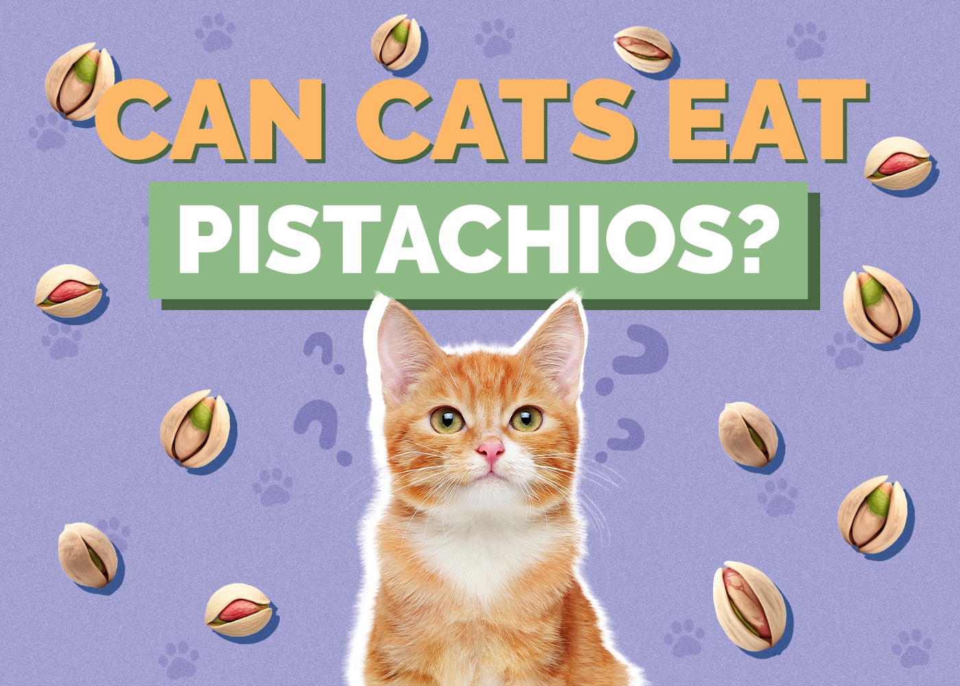 Can Cats Eat pistachios