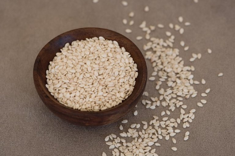 Can Cats Eat Sesame Seeds? VetReviewed Nutritional Info Hepper