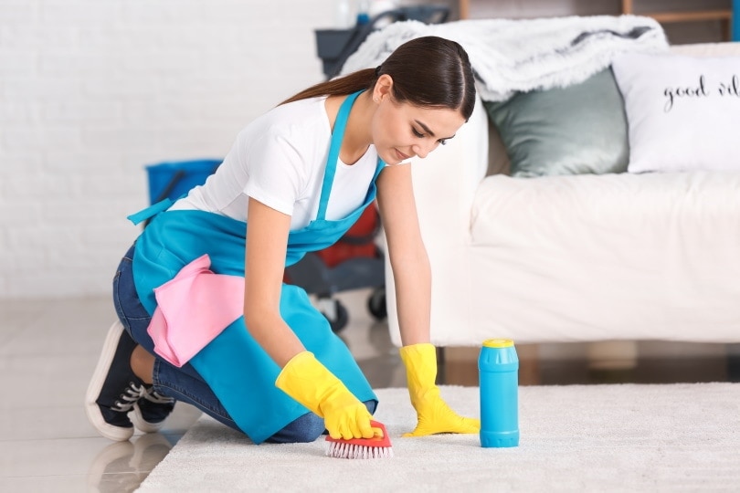 woman cleaning carpet