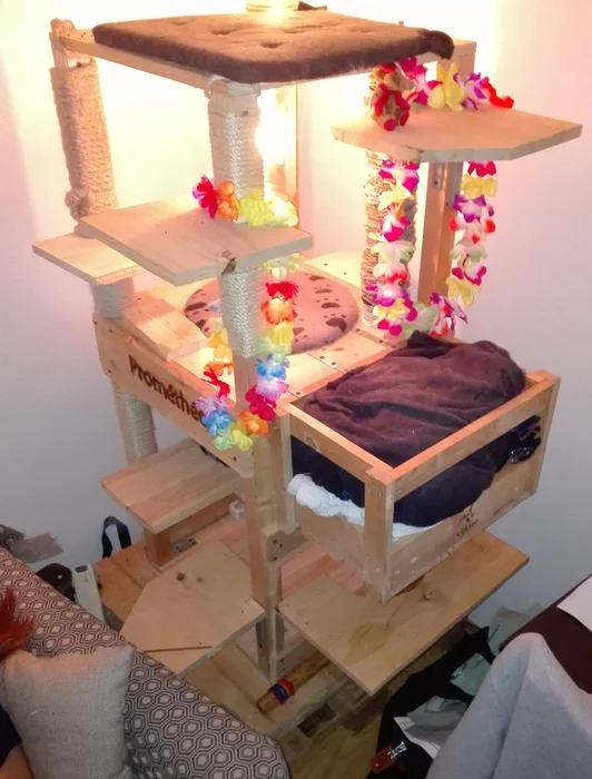 Build a Very Tall, and Sturdy Cat Tree
