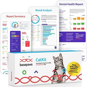 Cat Test Kit