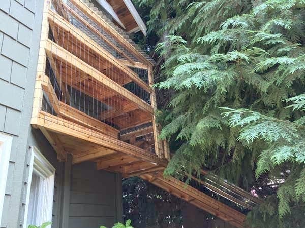 DIY Backyard Cat Enclosure- Cuckoo 4 design 