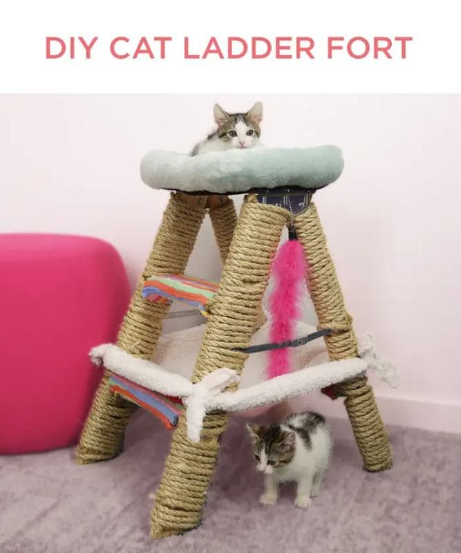 DIY Cat Ladder Fort