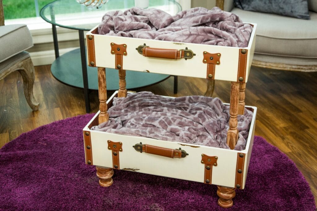 DIY Cat Suitcase Bunk Bed- Hallmark Channel