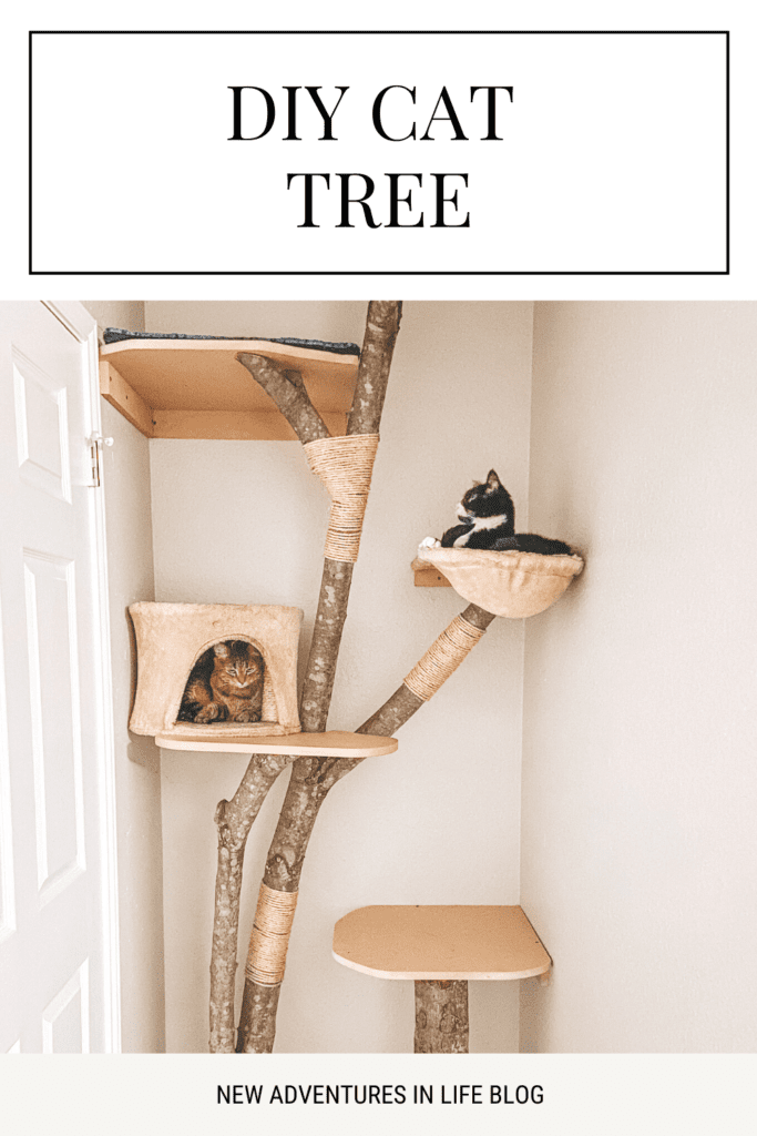 10 Free DIY Cat Ladder Plans You Can Make Today With Pictures