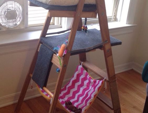 DIY Cat Tree from Old Ladder- Lucky Ferals