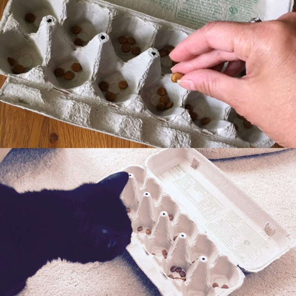 6 DIY Cat Puzzle Feeders