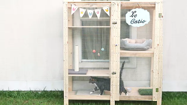 DIY IKEA Shelf Catio- Cuteness