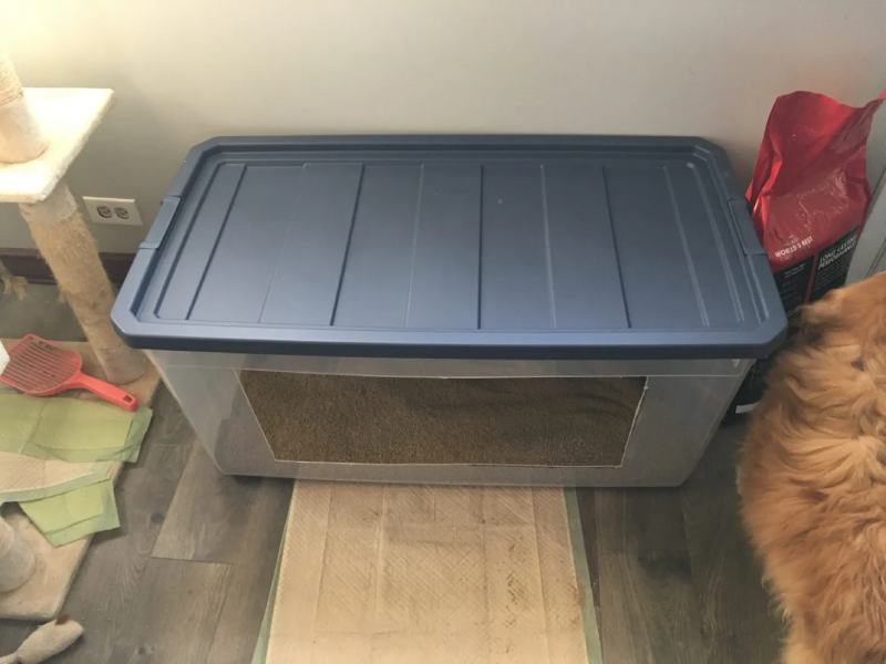 DIY Senior Cat Litter Box For Arthritis, Limited Mobility, & High Pee-ers