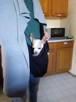 DIY T-Shirt Pet Sling- Jean the pet writer. blogspot