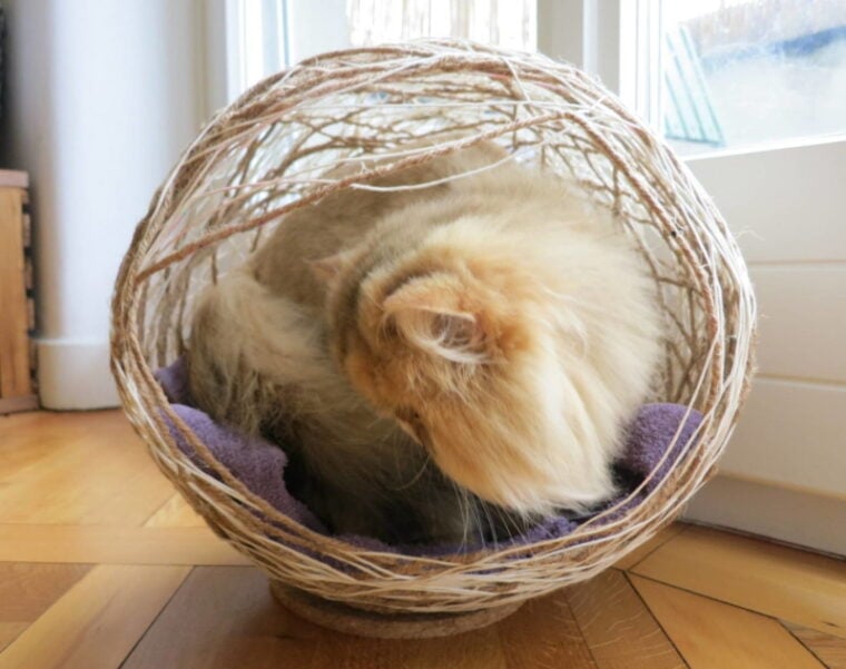 15 DIY Cat Cave Plans You Can Make Today (With Pictures) Hepper