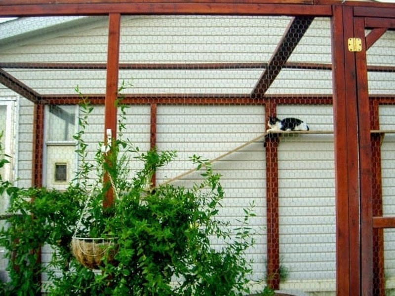 4 DIY Cat Run Plans You Can Make Today With Pictures Hepper