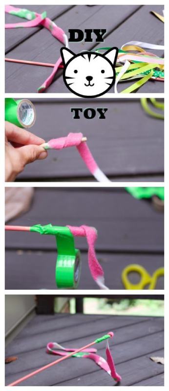 FUN DIY CAT TOY