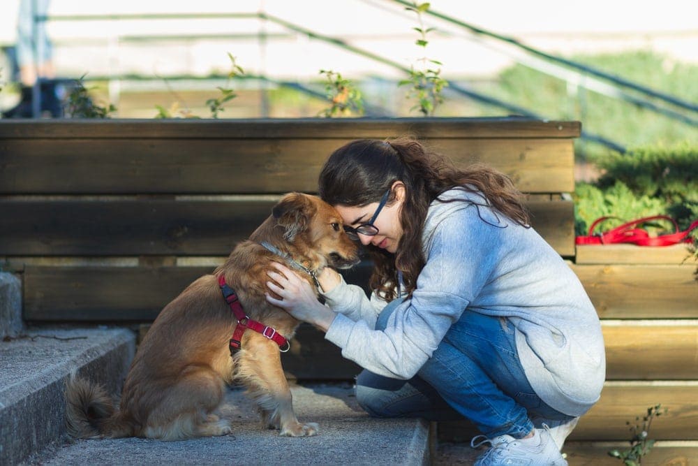 Cô gái với con chó hỗ trợ tinh thần