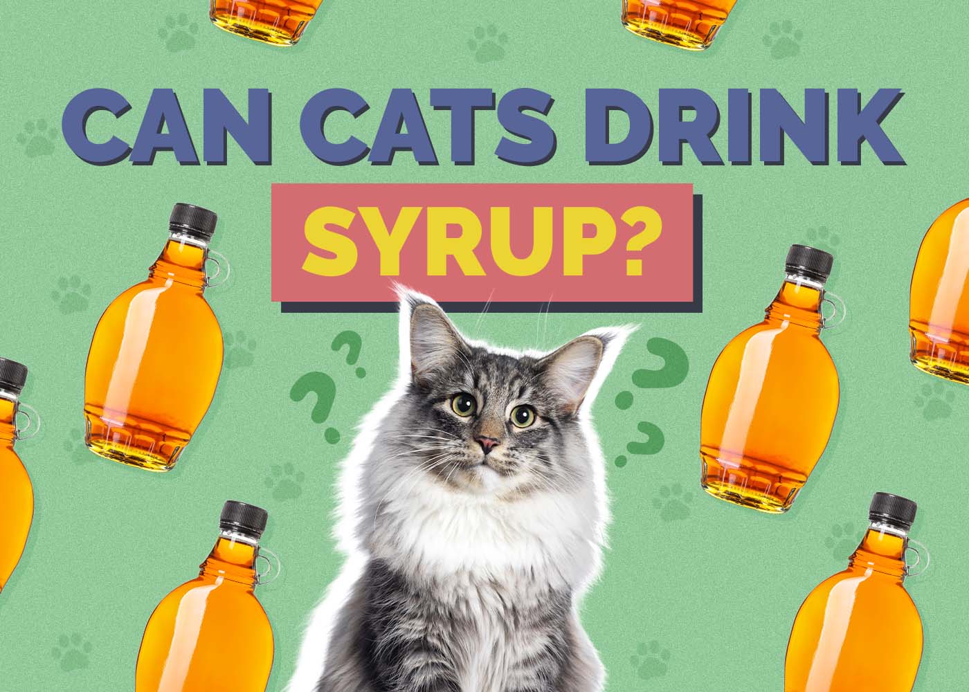 Hepper_Can Cats Drink_Syrup