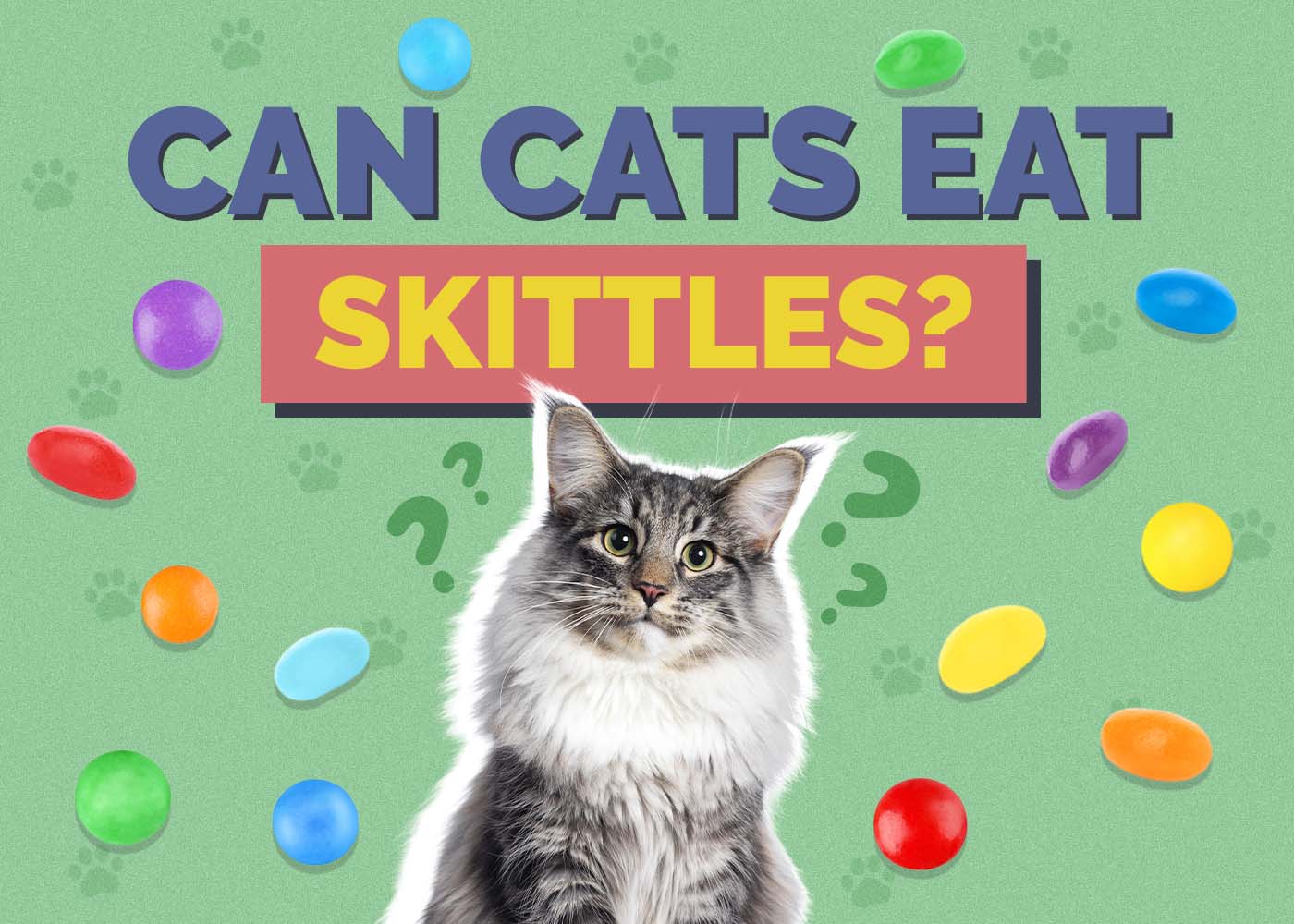 Hepper_Can Cats Eat_Skittles