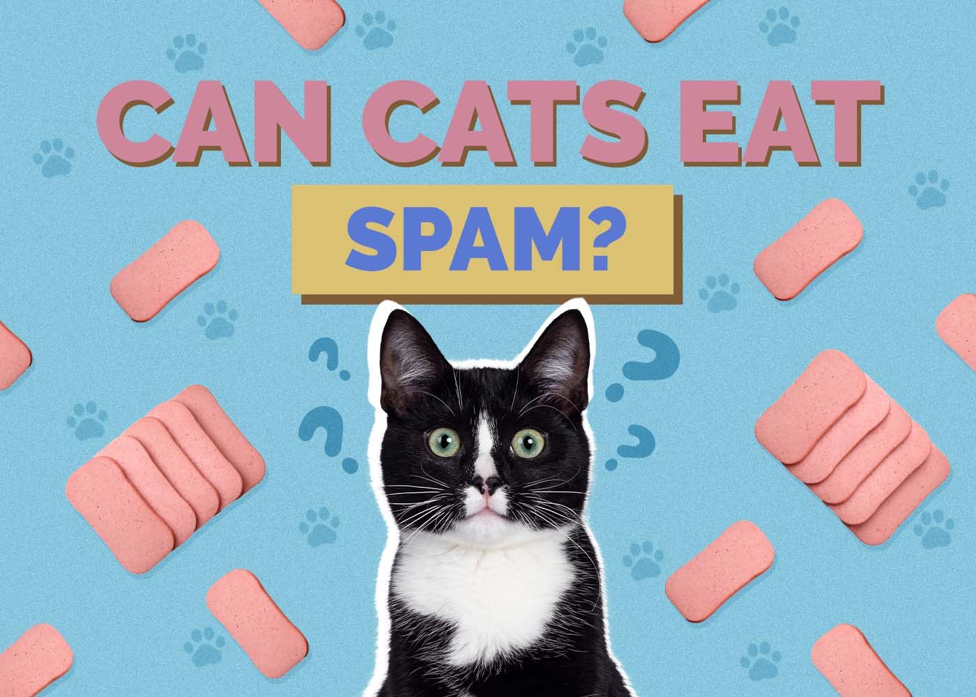 Hepper_Can Cats Eat_Spam
