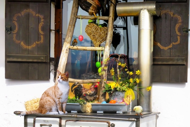 Homemade cat ladder with ornaments