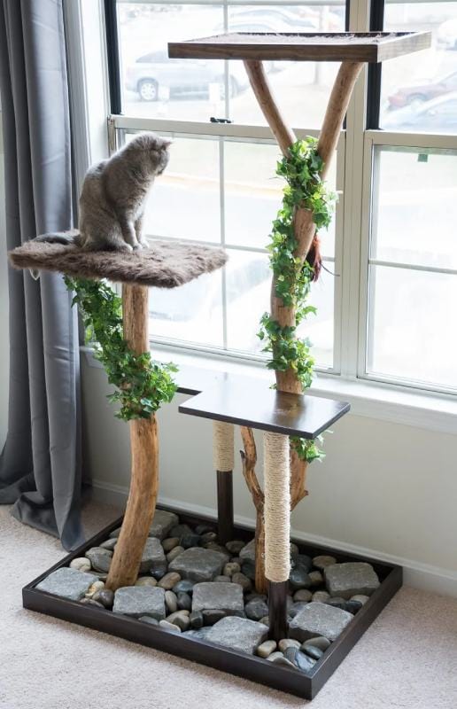 How to Make a DIY Cat Tree From a Real Tree