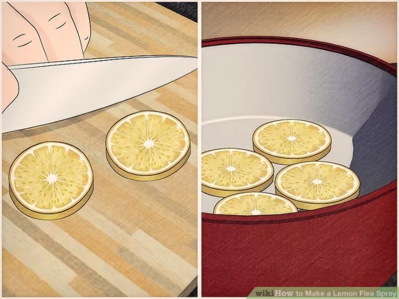 How to Make a Lemon Flea Spray