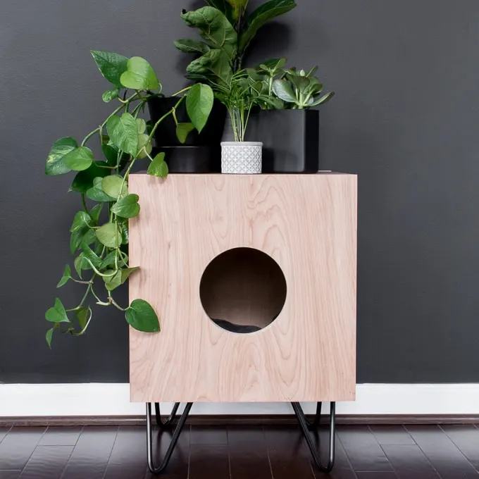 Indoor Cat House Plans1