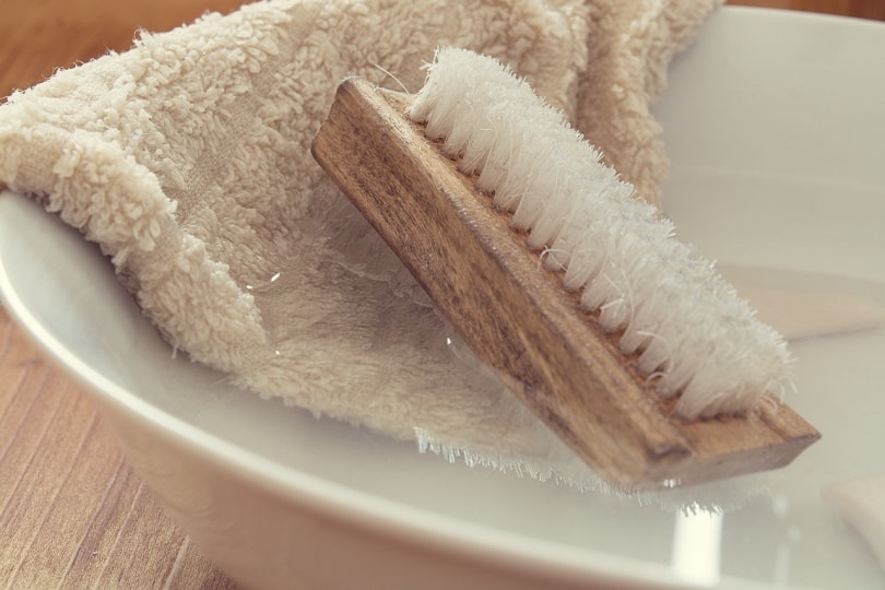 Rinsing brush in clean basin of water