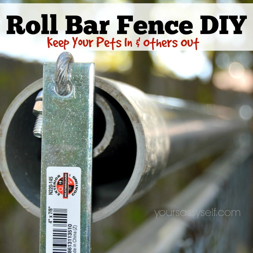 5 DIY Cat Fence Roller Plans You Can Make Today (With Pictures) Hepper