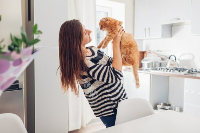 A woman holding up a ginger cat