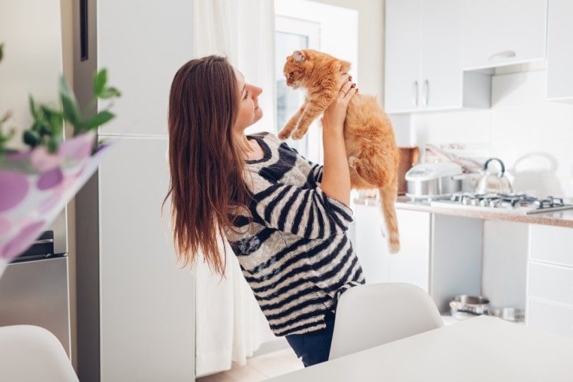 woman holding up a ginger cat