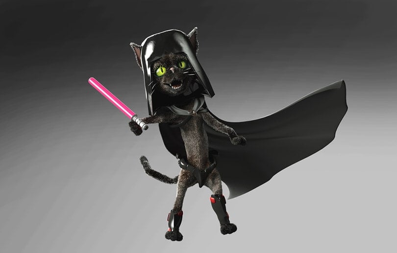 a funny black cat wearing a star wars costume