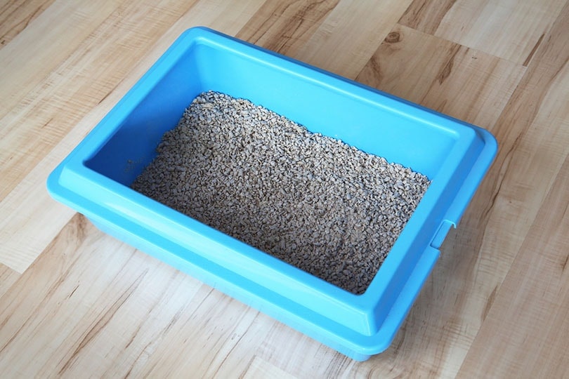 https://www.hepper.com/wp-content/uploads/2022/02/cat-litter-box-on-a-wooden-floor_Grzegorz-Petrykowski_Shutterstock.jpg