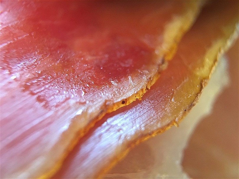 close up of a prosciutto meat