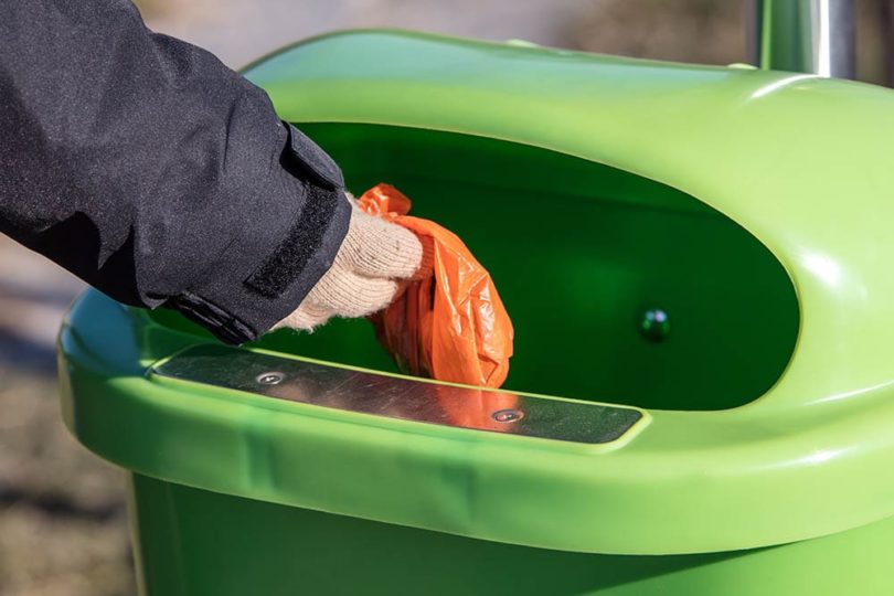 can you dipose of dog poop in waste container