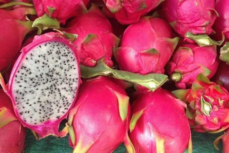 dragon fruit