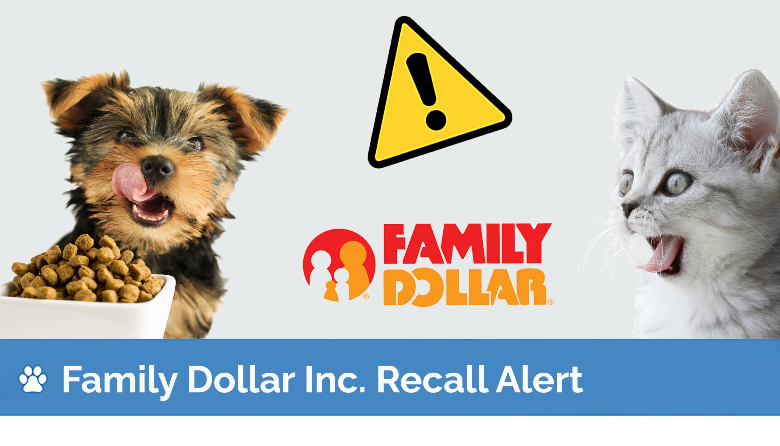 family dollar inc dog cat recall