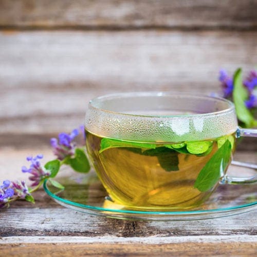fresh catnip tea in a glass cup