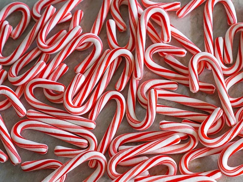 are peppermint candy canes bad for dogs