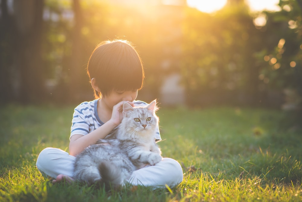 Persian cat cuddling owner