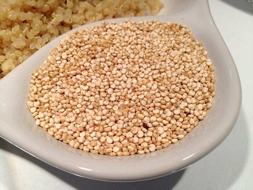 quinoa seeds on a white plate