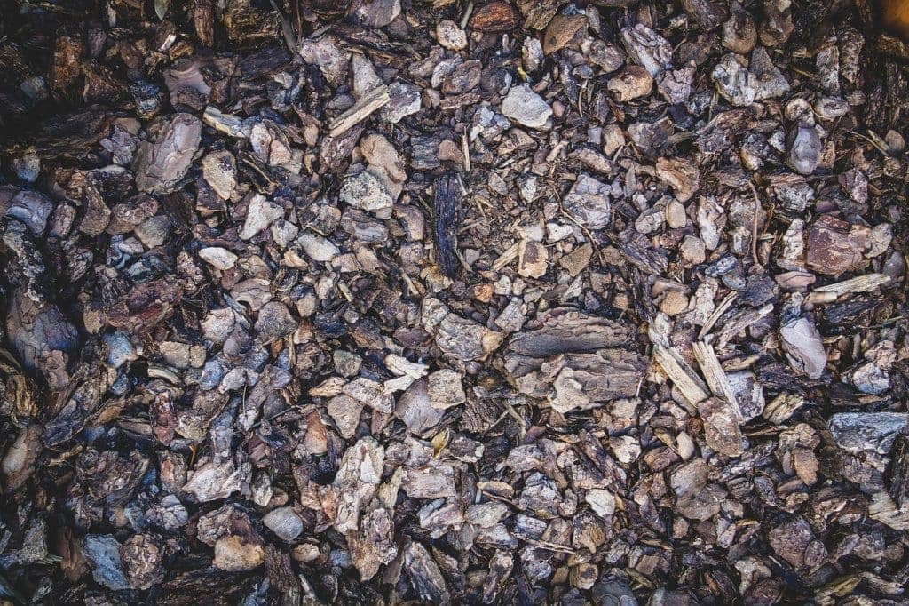 How To Keep Cats Out of Mulch 12 Humane Ways Hepper
