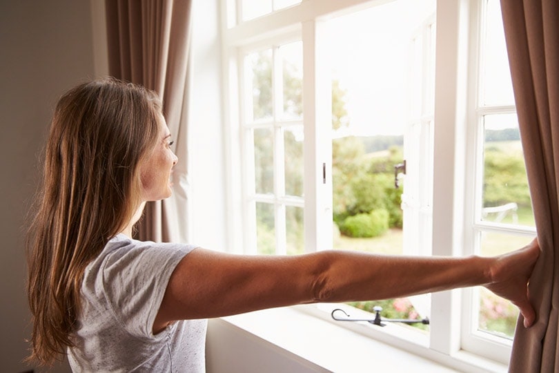 woman standing by window and opening curtains