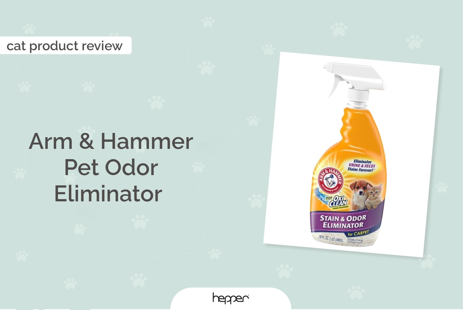 Arm & Hammer Pet Odor Eliminator review ft image