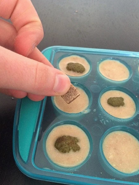 DIY Popsicles for Cats