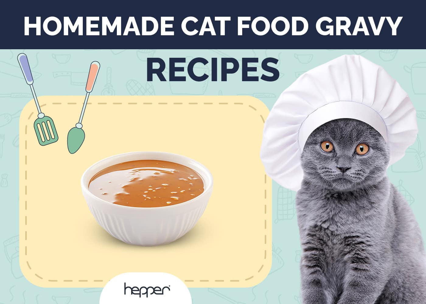 Diy cat gravy outlet