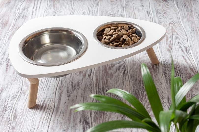 cat food and water bowls