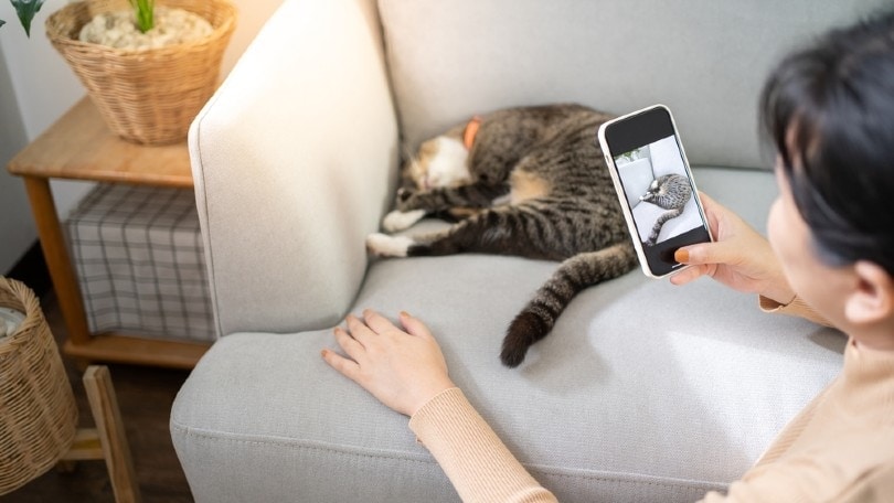 cat owner taking a photo of her pet cat