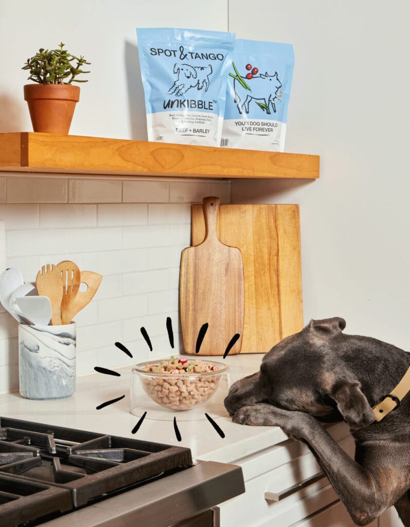 dog trying to reach a bowl of Spot & Tango food