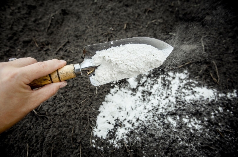 mixing limestone powder with garden soil