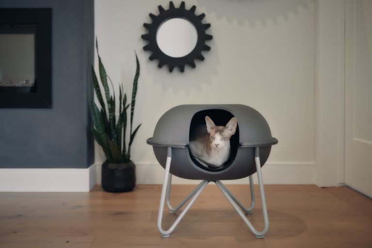 8 Best Outdoor Cat Beds 2024 Reviews & Top Picks Hepper