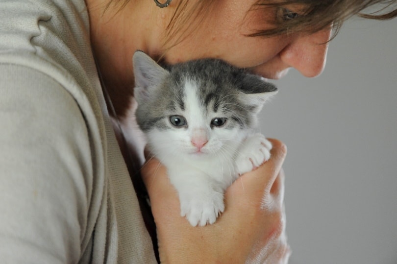 woman holding kitten